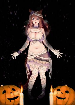 Super Creek (Chiffon-Wrapped Mummy) (Umamusume) Rule 34 Image