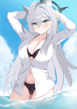 Shiroko Terror (Blue Archive) Rule 34 Image