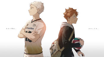 Volleyball (Object) Rule 34 Image