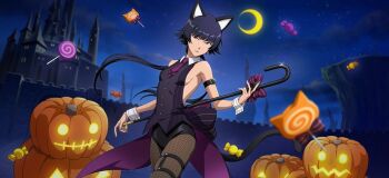 Animal Ears Rule 34 Image