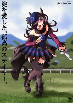 Rice Shower (Rosy Dreams) (Umamusume) Rule 34 Image