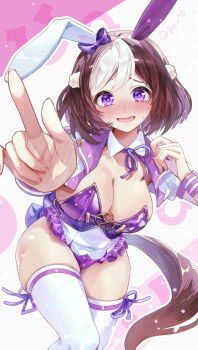 Special Week (Special Dreamer) (Umamusume) Rule 34 Image
