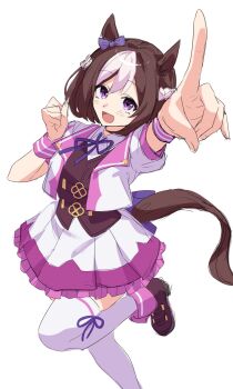 Special Week (Special Dreamer) (Umamusume) Rule 34 Image