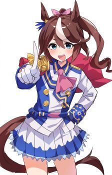 Tokai Teio (Peak Joy) (Umamusume) Rule 34 Image