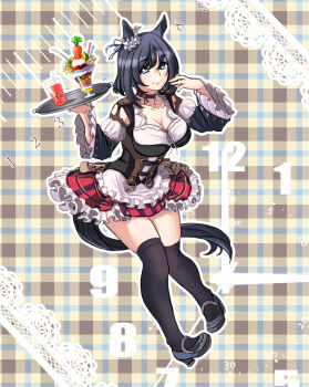 Eishin Flash (Meisterschaft) (Umamusume) Rule 34 Image