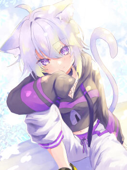 Nekomata Okayu (1st Costume) Rule 34 Image