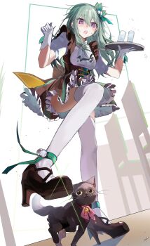 Animal Rule 34 Image