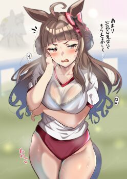 Dynam Heroine (Umamusume) Rule 34 Image