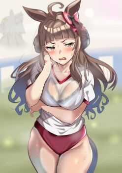 Dynam Heroine (Umamusume) Rule 34 Image