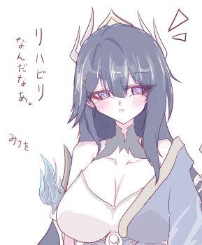Honkai (Series) Rule 34 Image