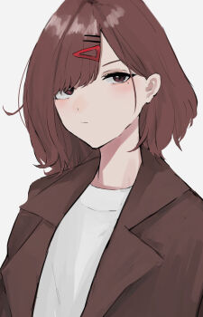 Brown Coat Rule 34 Image