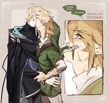 Champion'S Tunic (Zelda) Rule 34 Image