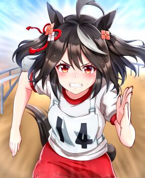Kitasan Black (Umamusume) Rule 34 Image