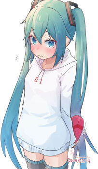 Alternate Costume Rule 34 Image