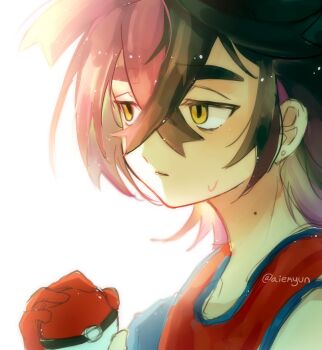 Kieran (Pokemon) Rule 34 Image