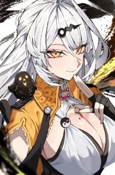 Qingming Bird (Zenless Zone Zero) Rule 34 Image