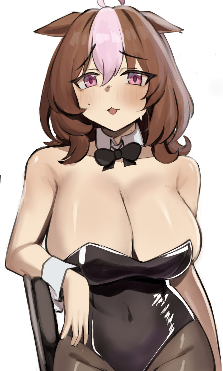 Meisho Doto (Umamusume) Rule 34 Image