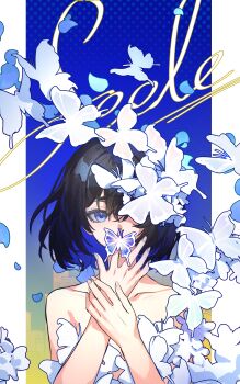 Honkai (Series) Rule 34 Image