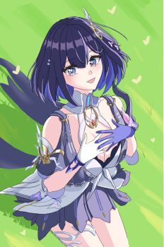Honkai (Series) Rule 34 Image