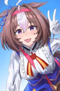 Meisho Doto (Turbulent Blue) (Umamusume) Rule 34 Image