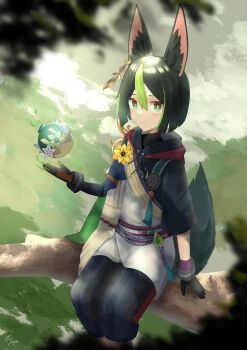Tighnari (Genshin Impact) Rule 34 Image