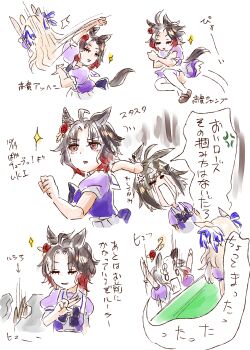 Rose Kingdom (Umamusume) Rule 34 Image