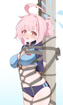 Hamuta (Machosbrown) Rule 34 Image