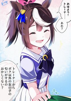Tokai Teio (Umamusume) Rule 34 Image
