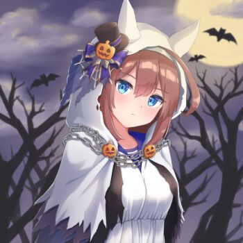 Bat (Animal) Rule 34 Image