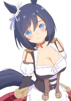 Eishin Flash (Meisterschaft) (Umamusume) Rule 34 Image