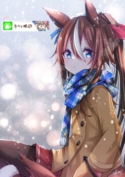 Tokai Teio (Umamusume) Rule 34 Image