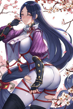 Fate (Series) Rule 34 Image