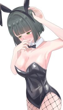 Alternate Costume Rule 34 Image