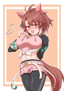 Dantsu Flame (Center Spotlight) (Umamusume) Rule 34 Image