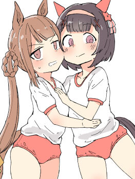 Nishino Flower (Umamusume) Rule 34 Image