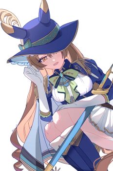 Satono Diamond (Chevalier Bleu) (Umamusume) Rule 34 Image