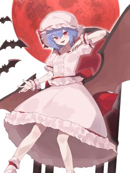 Bat (Animal) Rule 34 Image