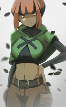 Gardenia (Pokemon) Rule 34 Image
