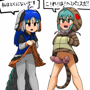 Indian Peafowl (Kemono Friends) Rule 34 Image