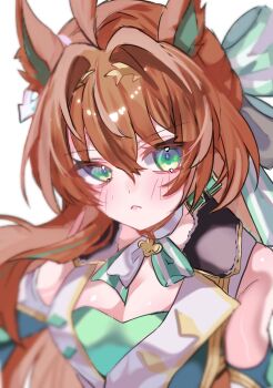 Efforia (Racing) (Umamusume) Rule 34 Image
