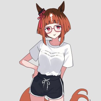 Transcend (Umamusume) Rule 34 Image
