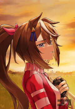 Tokai Teio (Umamusume) Rule 34 Image