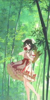 Adapted Costume Rule 34 Image
