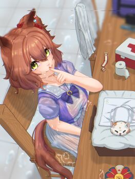 Aston Machan (Umamusume) Rule 34 Image
