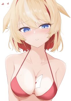 Animal Ears Rule 34 Image