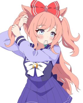 Agnes Digital (Umamusume) Rule 34 Image