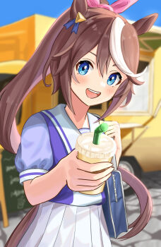 Tokai Teio (Umamusume) Rule 34 Image