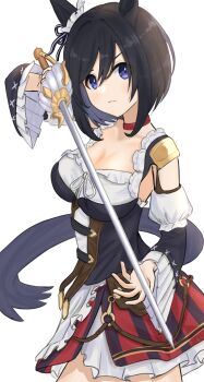 Eishin Flash (Meisterschaft) (Umamusume) Rule 34 Image