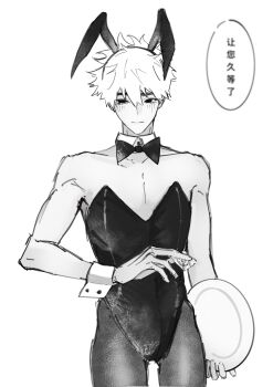 Animal Ears Rule 34 Image