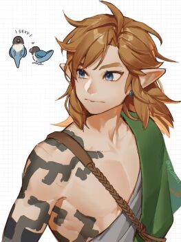 Archaic Set (Zelda) Rule 34 Image